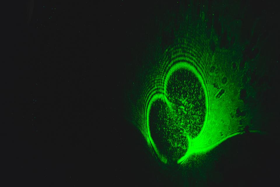 Microorganism projection SHDV17